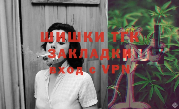 гидра Алексеевка